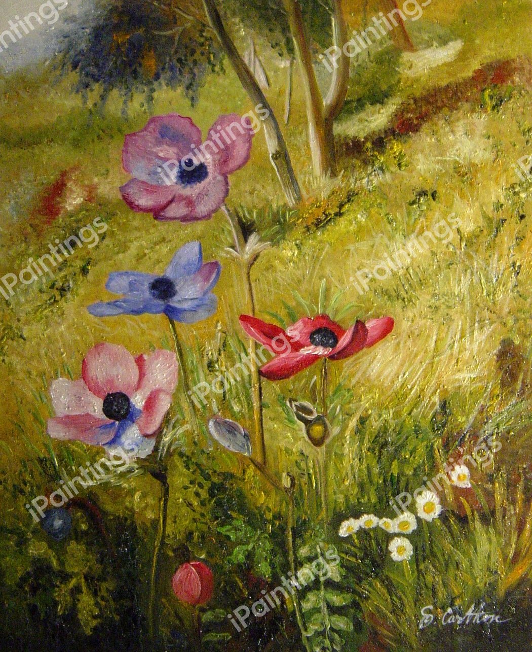 The Anemones. The painting by Henry Roderick Newman