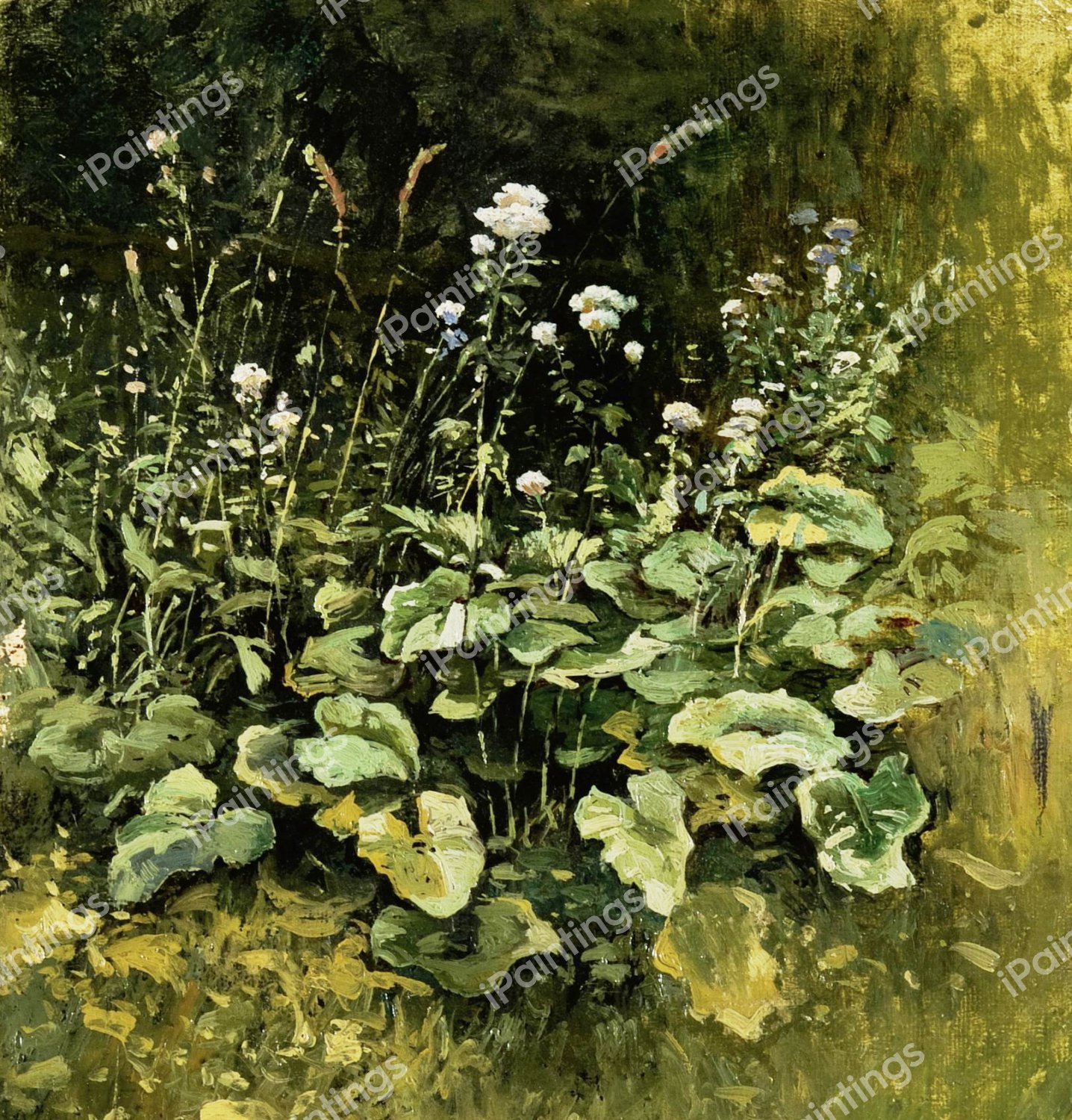 Wild Grass. The painting by Iosif Evstafevich Krachkovsky