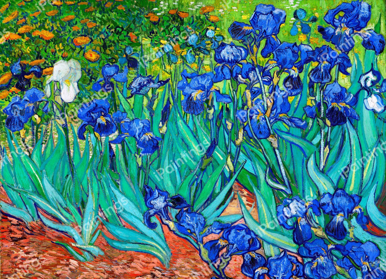 Irises 2 Painting by Vincent Van Gogh