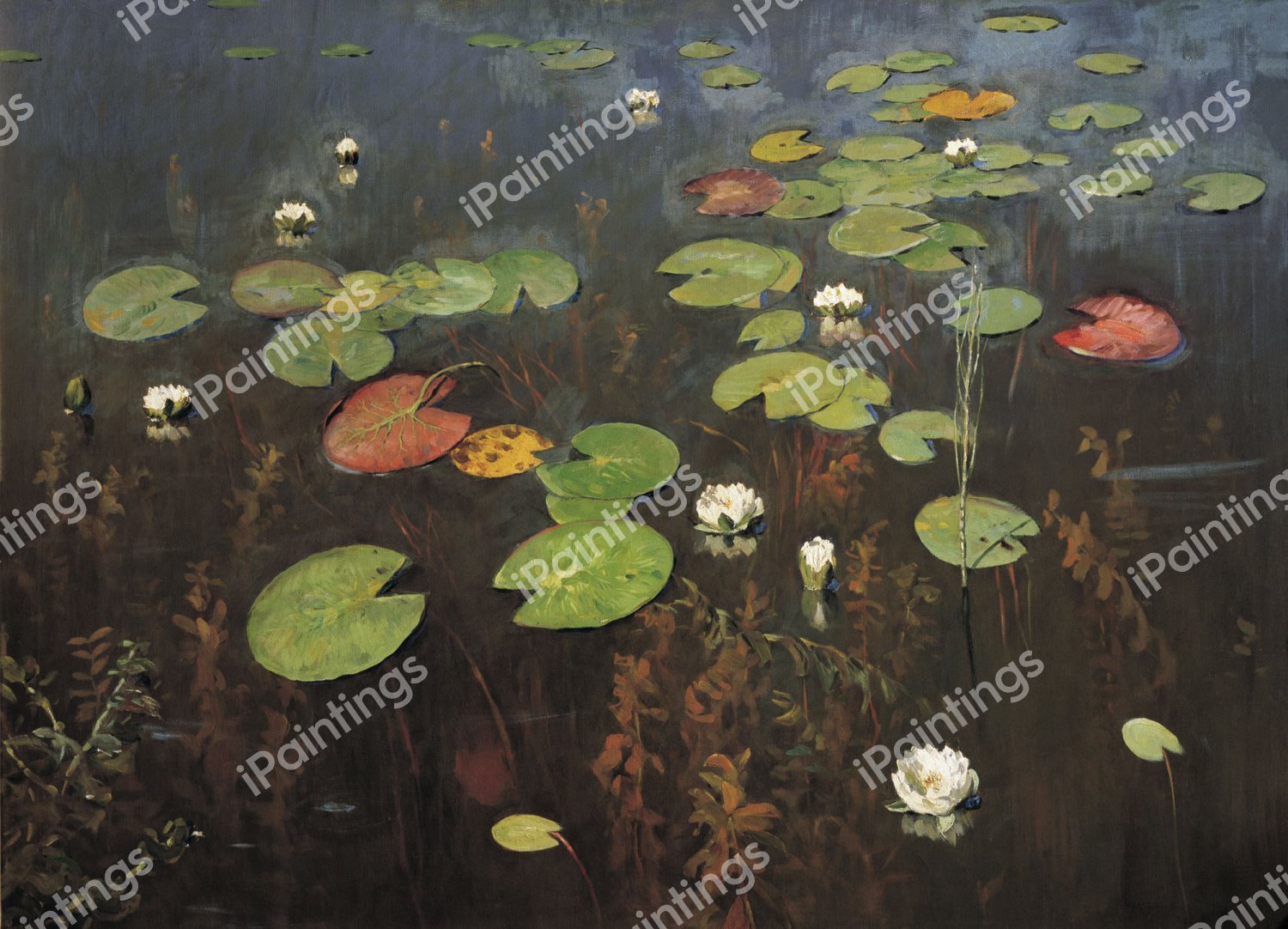Water Lilies, Nenuphar. The painting by Isaac Levitan