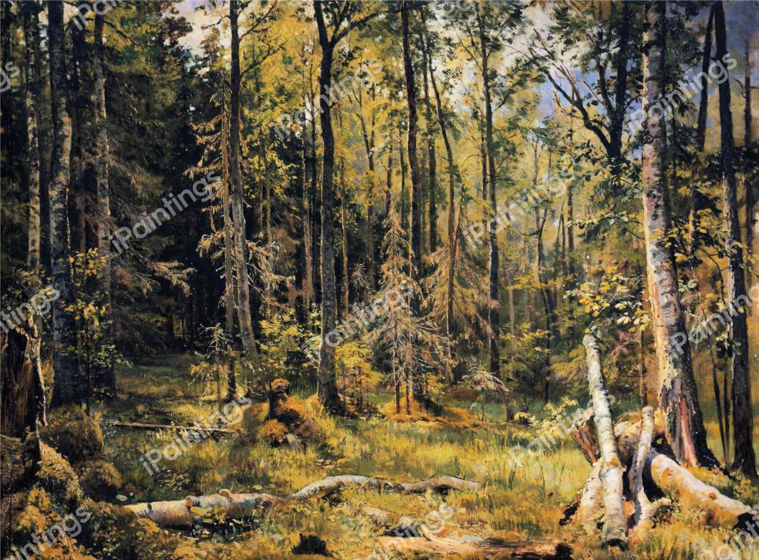 Mixed Forest, Shmetsk Near Narva. The painting by Ivan Ivanovich Shishkin