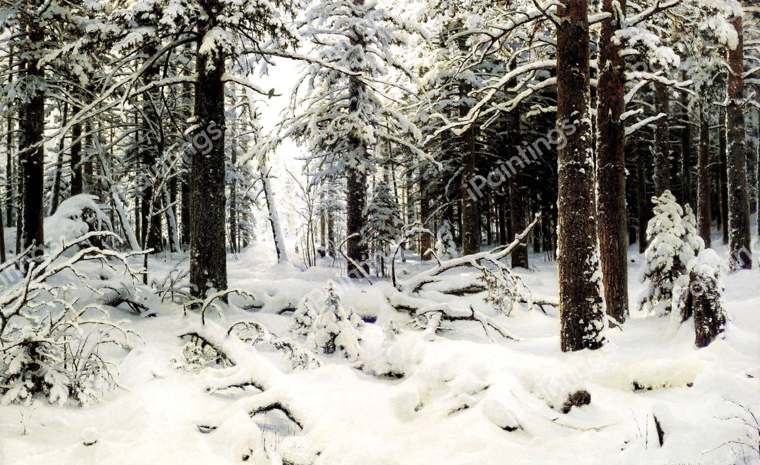 Winter Landscape. The painting by Ivan Ivanovich Shishkin