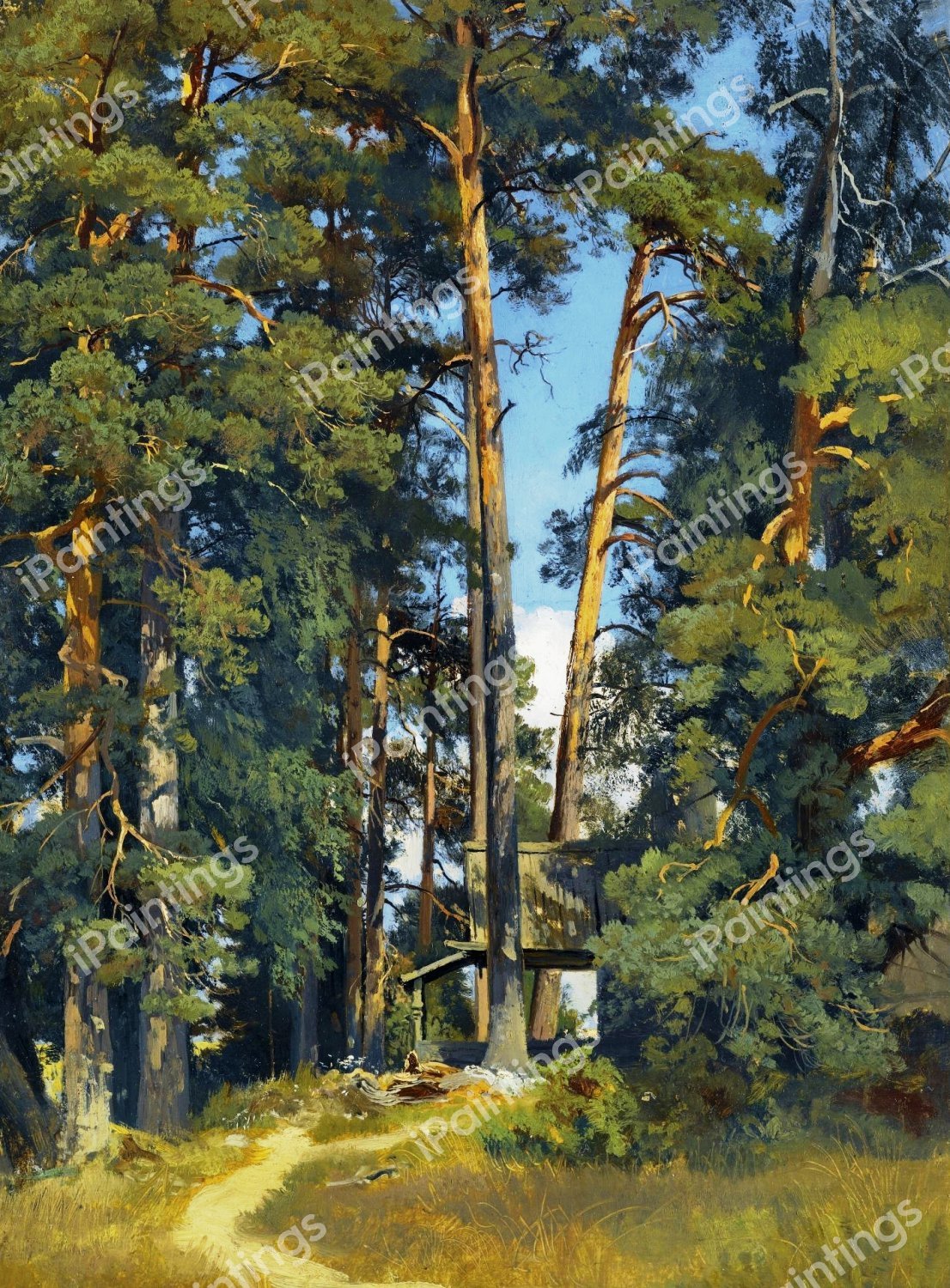 Woodland Grove. The painting by Ivan Ivanovich Shishkin