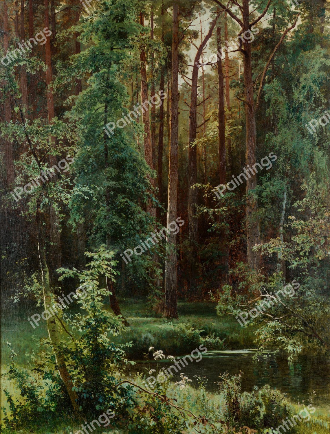Woodland. The painting by Ivan Ivanovich Shishkin