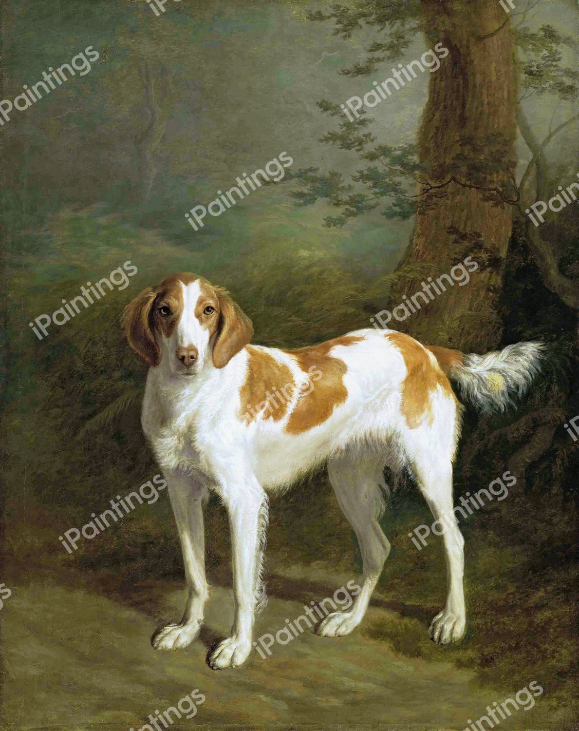 Dash, a setter in a Wooded Landscape. The painting by Jacques-Laurent Agasse