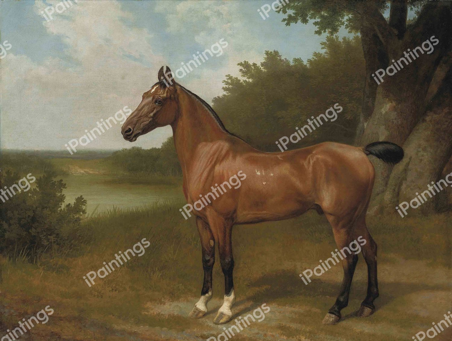 Lord Bingley's Hunter in a Wooded River Landscape. The painting by Jacques-Laurent Agasse