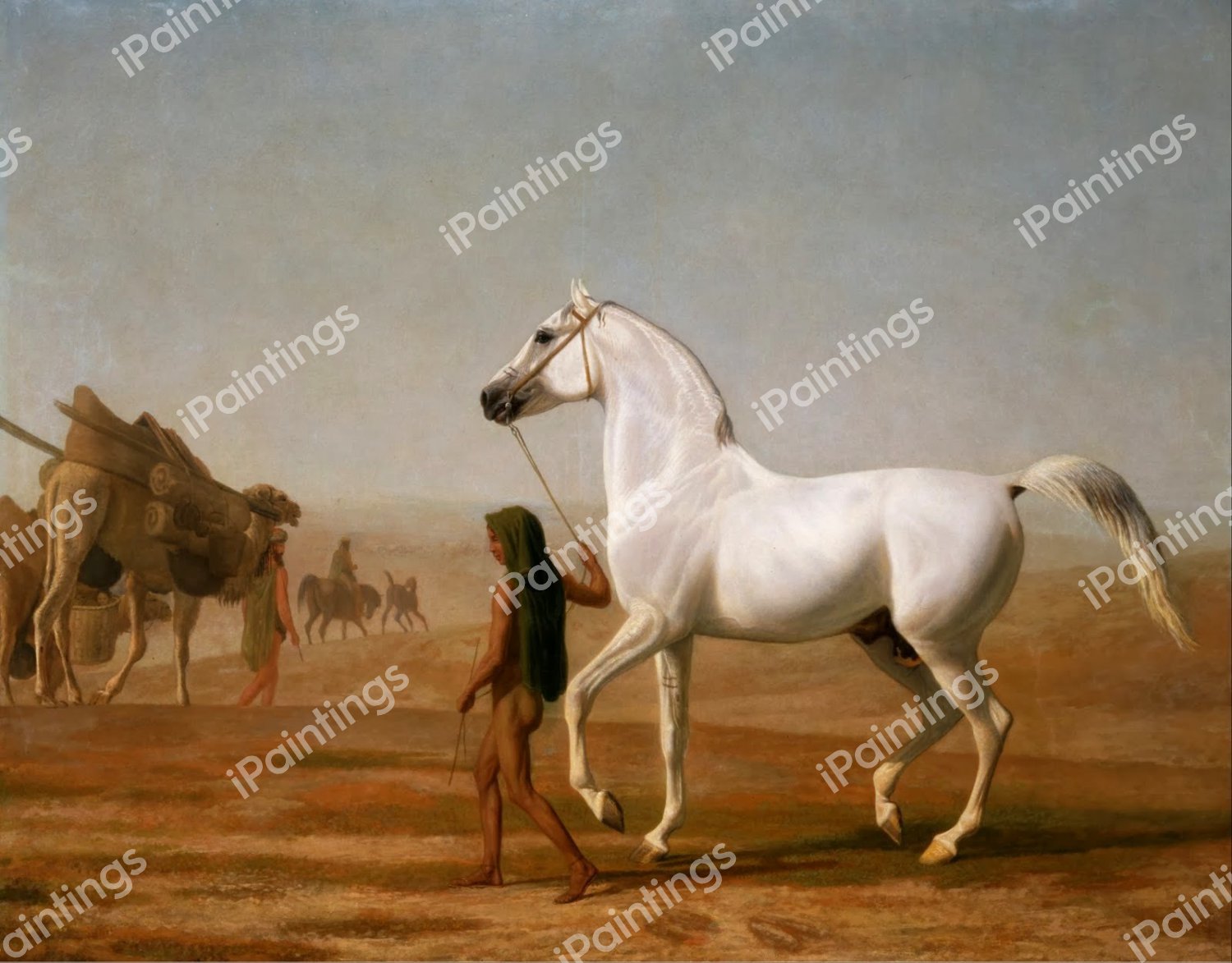 The Wellesley Grey Arabian Led through the Desert. The painting by Jacques-Laurent Agasse