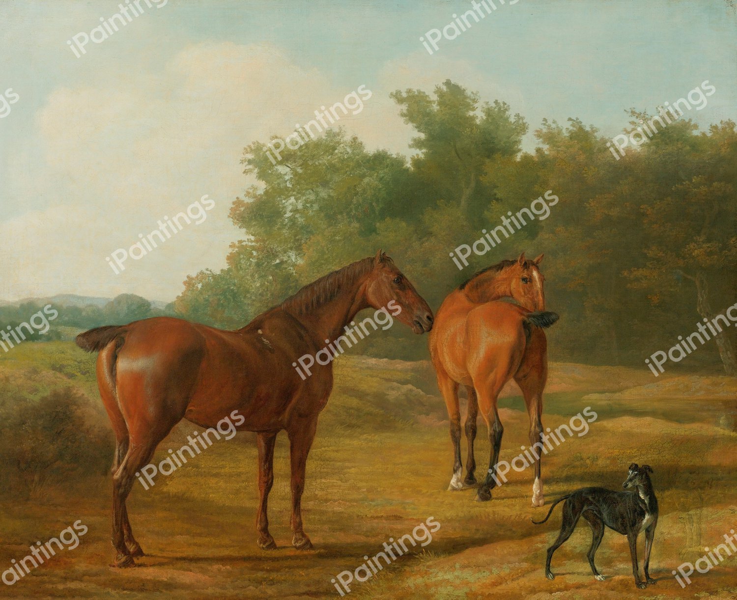 Two Horses and a Greyhound in a Landscape. The painting by Jacques-Laurent Agasse
