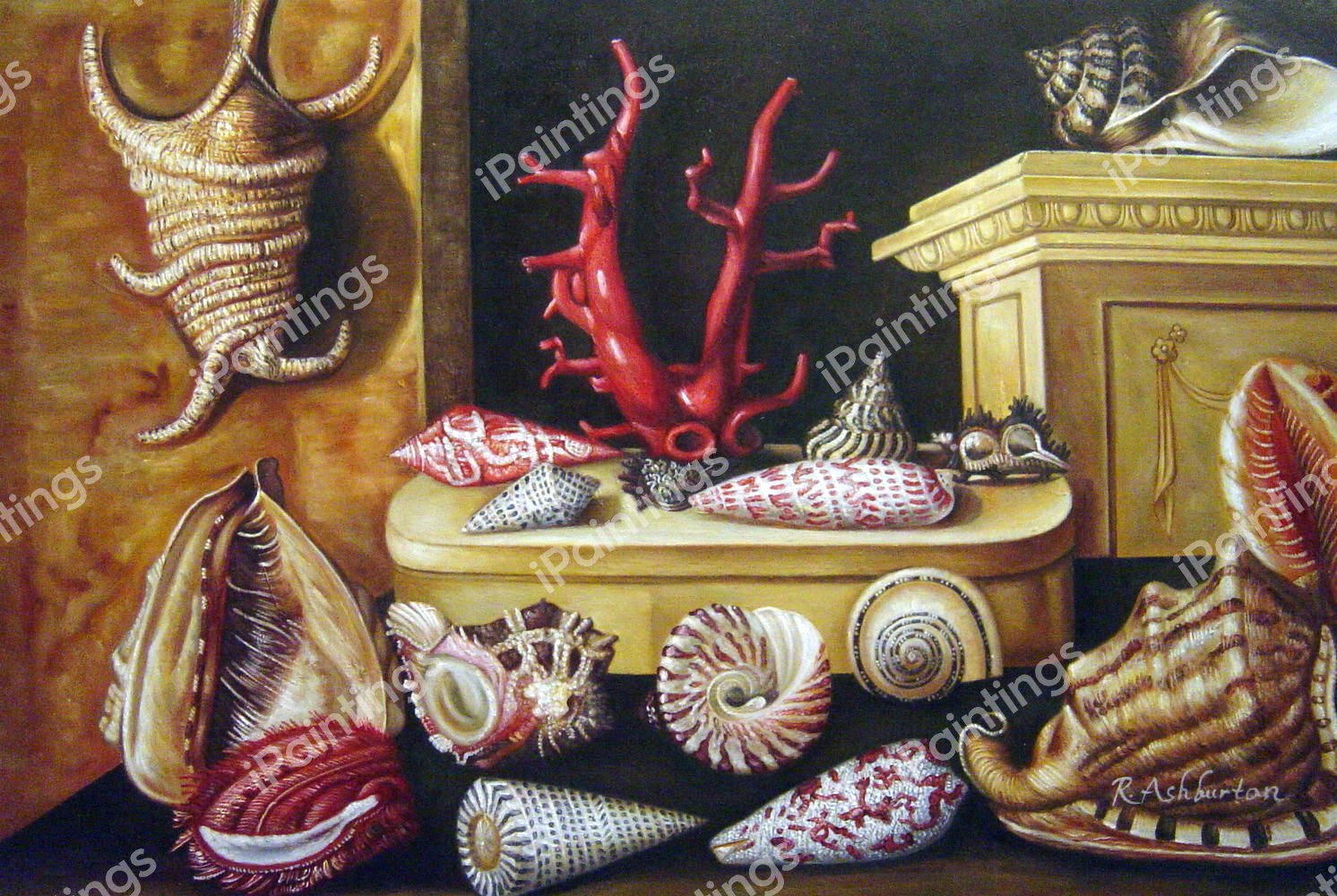 A Still Life With Shells And Coral. The painting by Jacques Linard