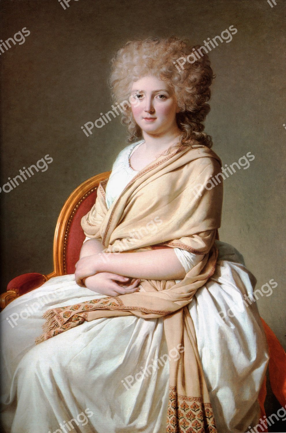 Portrait of Anne-Marie-Louise Thelusson, Comtesse de Sorcy. The painting by Jacques-Louis David