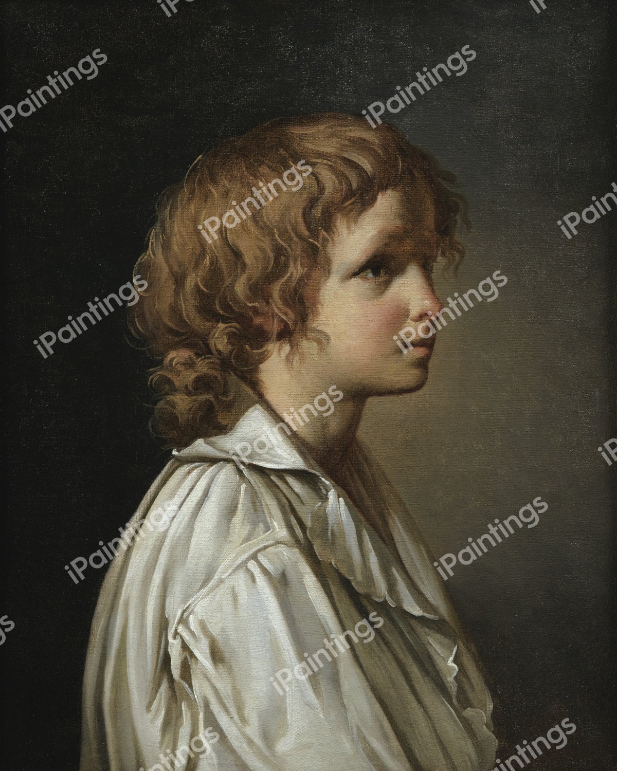 Profile of a Boy. The painting by Jacques-Louis David