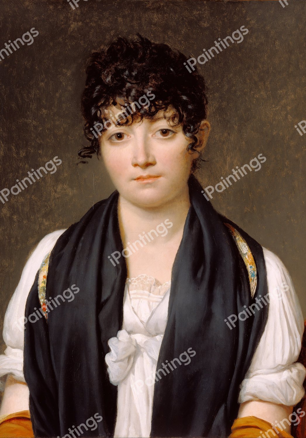 Suzanne Le Peletier de Saint-Fargeau. The painting by Jacques-Louis David