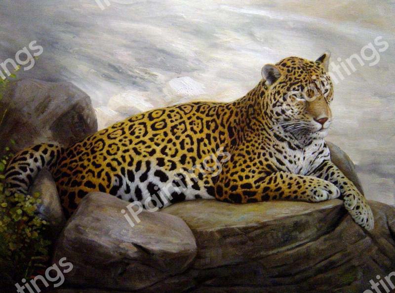 Jaguar Lying On The Rocks. The painting by Our Originals