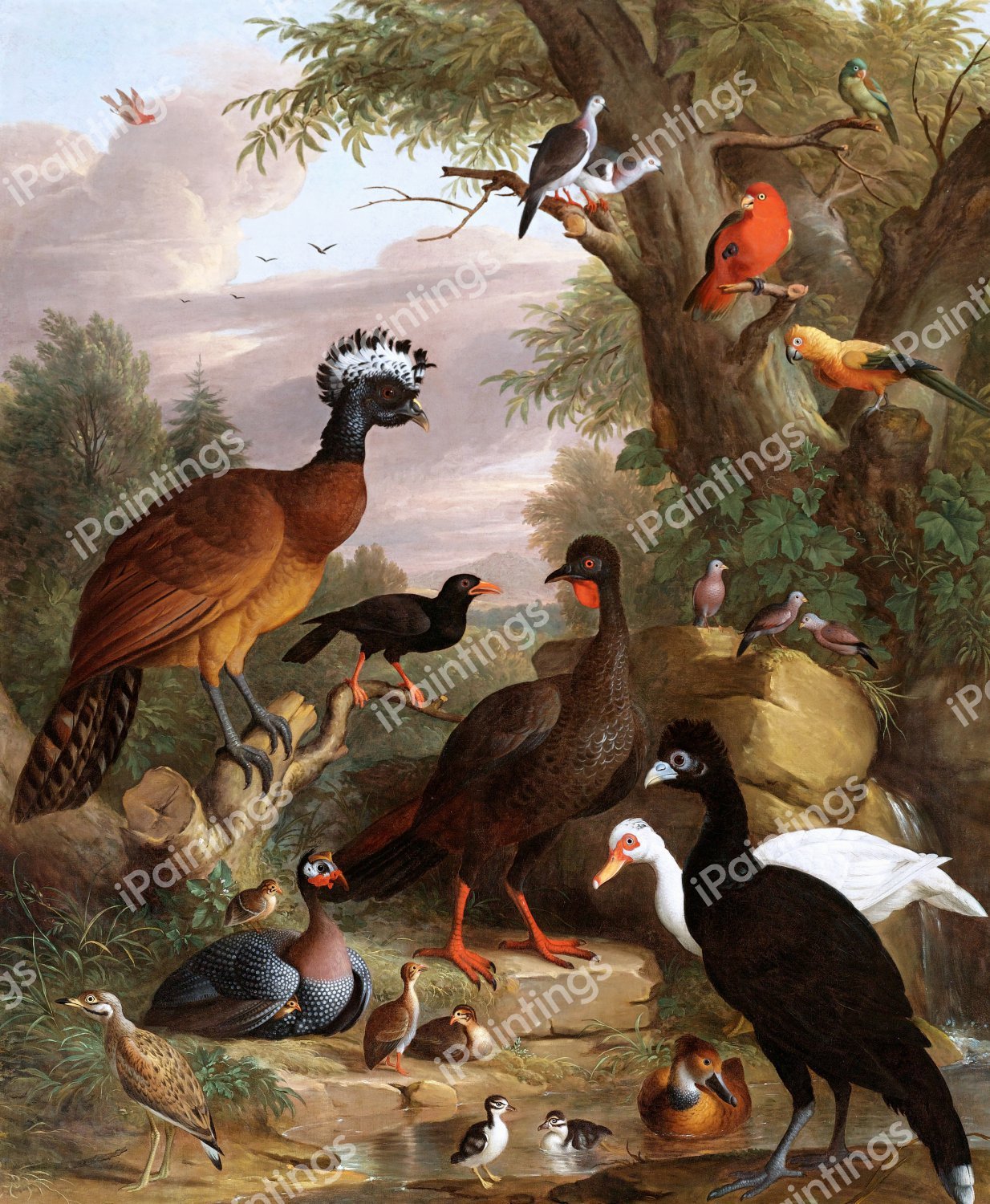 An Assembly of Birds in a Parkland Landscape. The painting by Jakob Bogdany