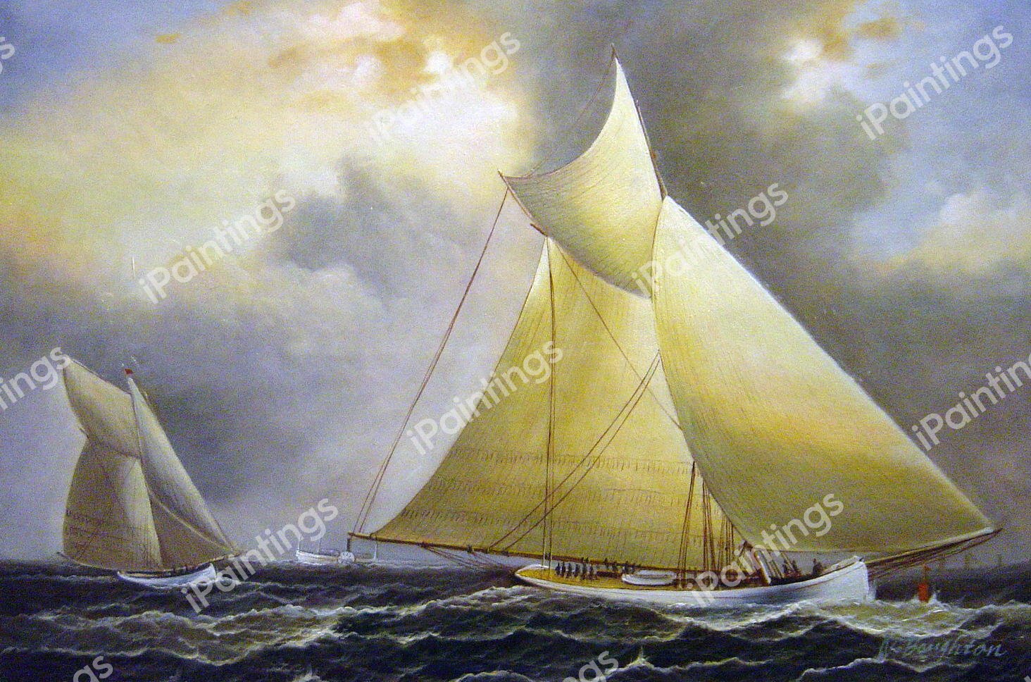 Mayflower Leading Galatea, America&#39s Cup. The painting by James Edward Buttersworth