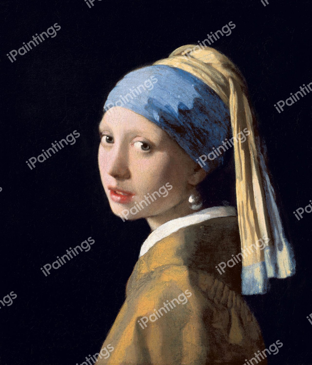 Girl with a Pearl Earring. The painting by Jan Vermeer