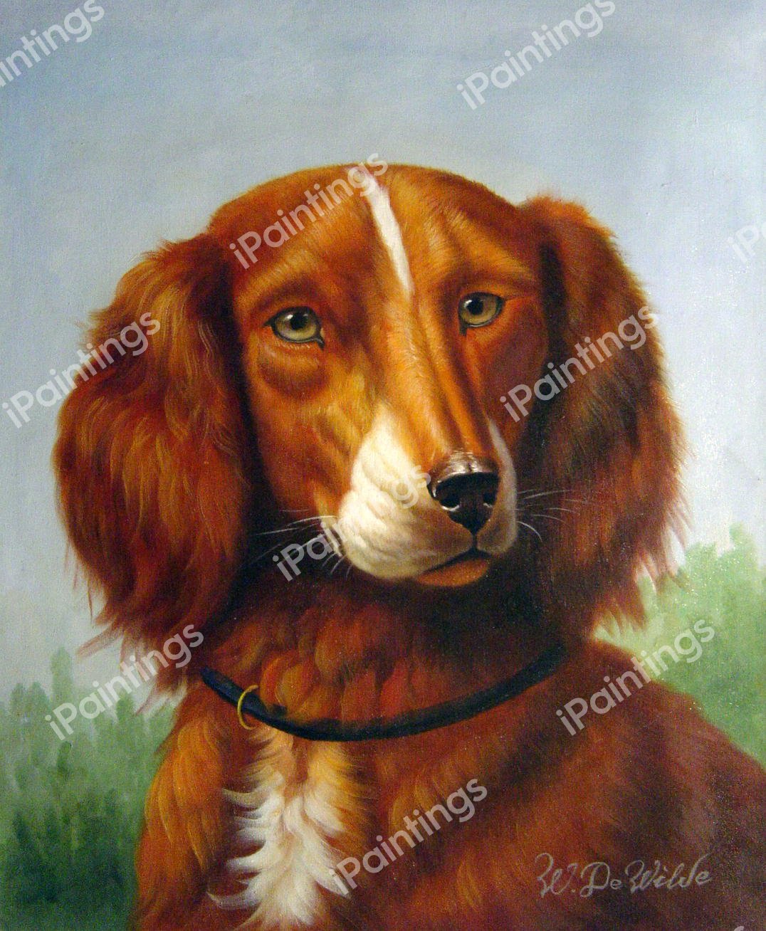 Spaniel Portrait. The painting by Johannes Christian Deiker
