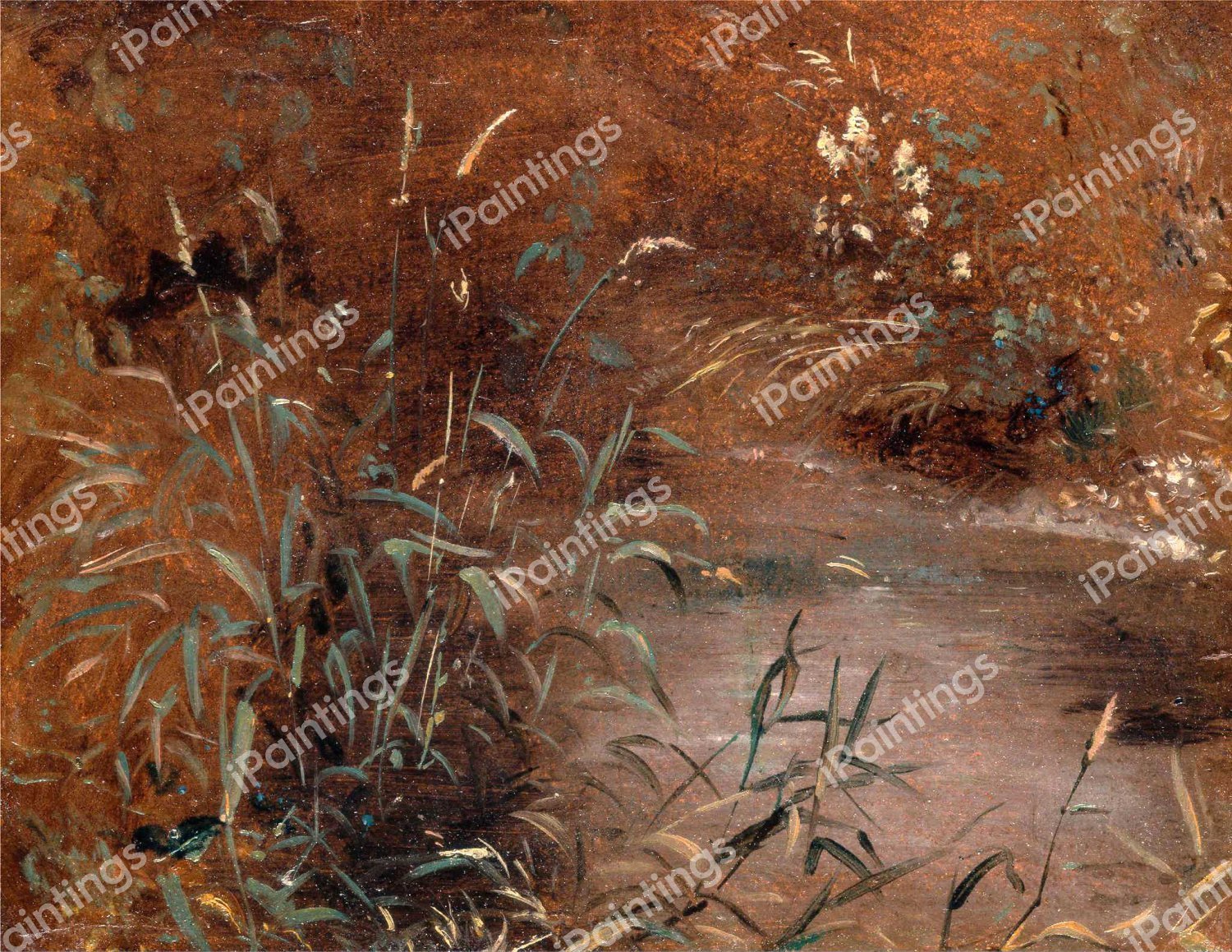 Rushes by a Pool. The painting by John Constable