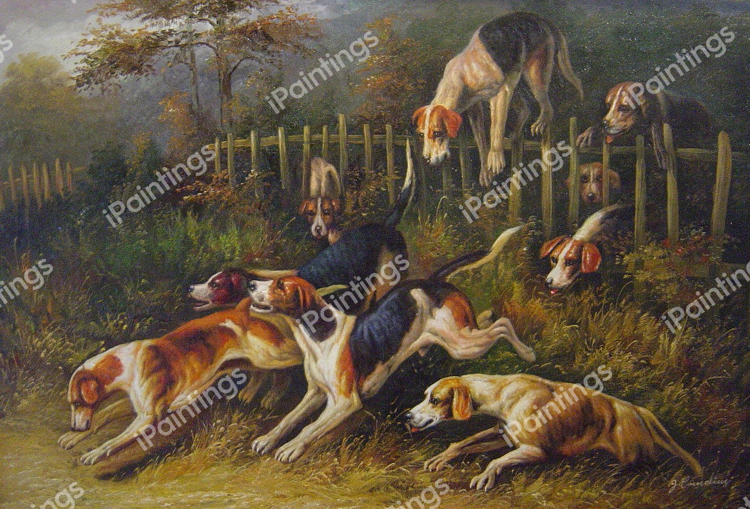 On The Scent-Foxhounds Hunting. The painting by John Emms