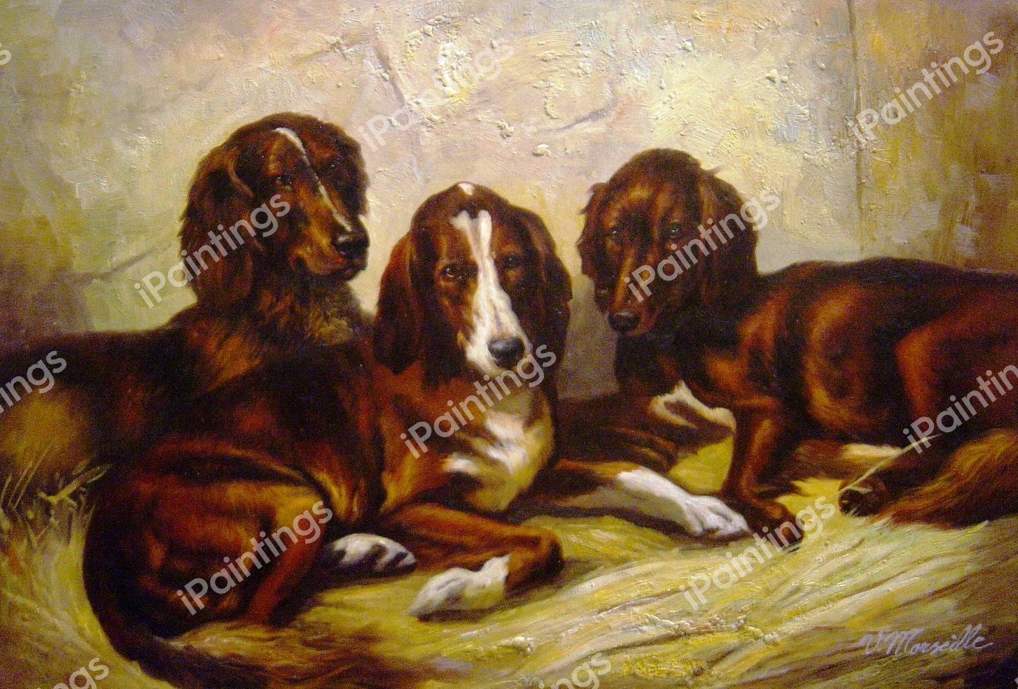 Shot And His Friends, Three Irish Red And White Setters. The painting by John Emms