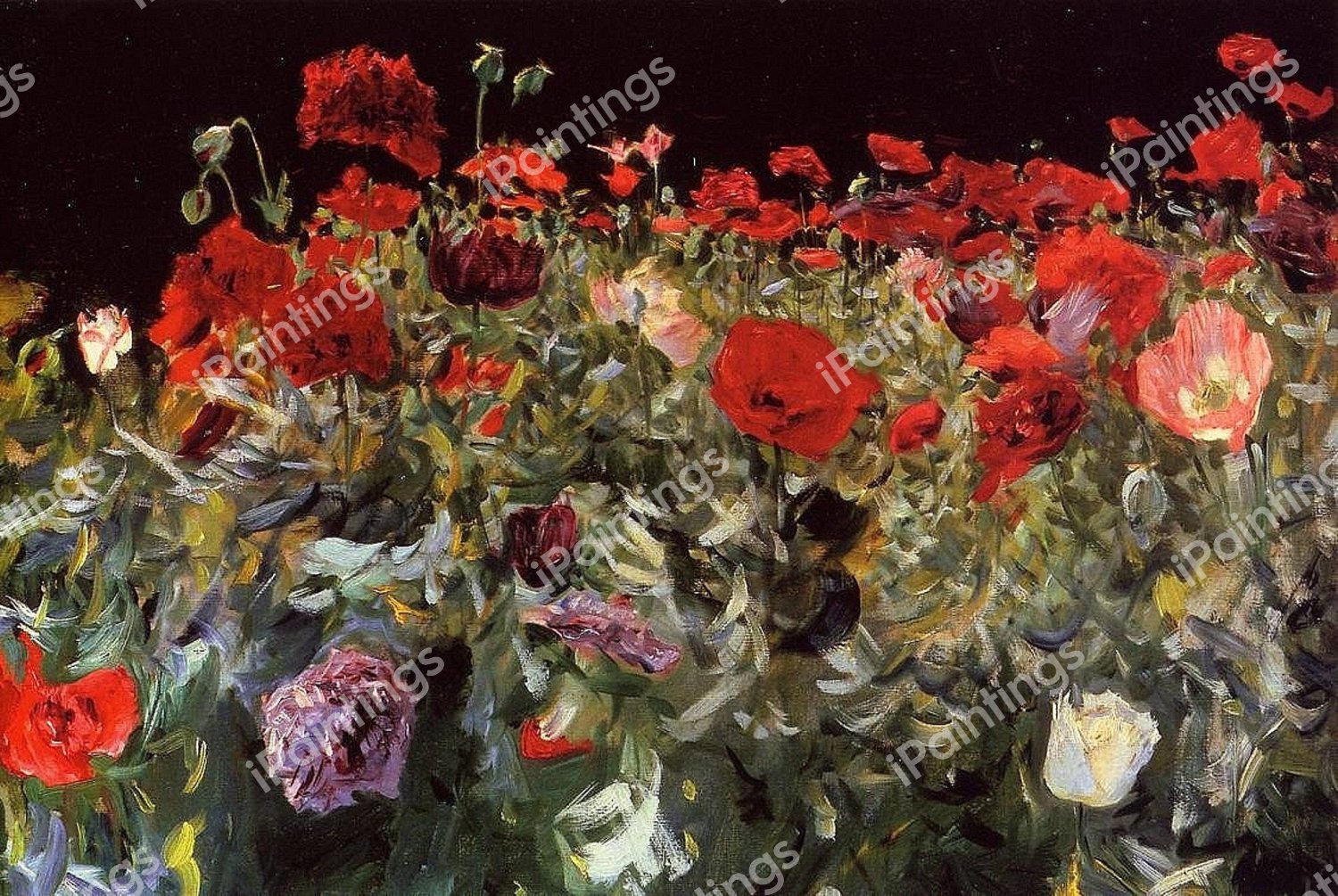 A Bunch of Poppies. The painting by John Singer Sargent