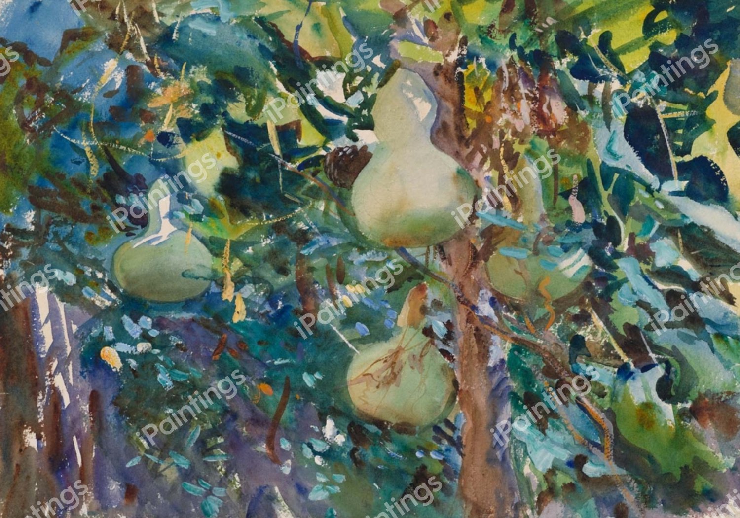 Gourds. The painting by John Singer Sargent