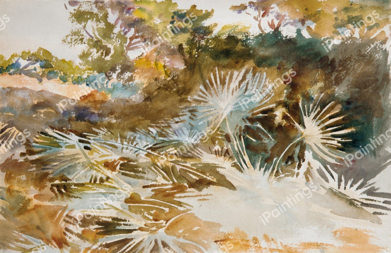 Landscape with Palmettos. The painting by John Singer Sargent