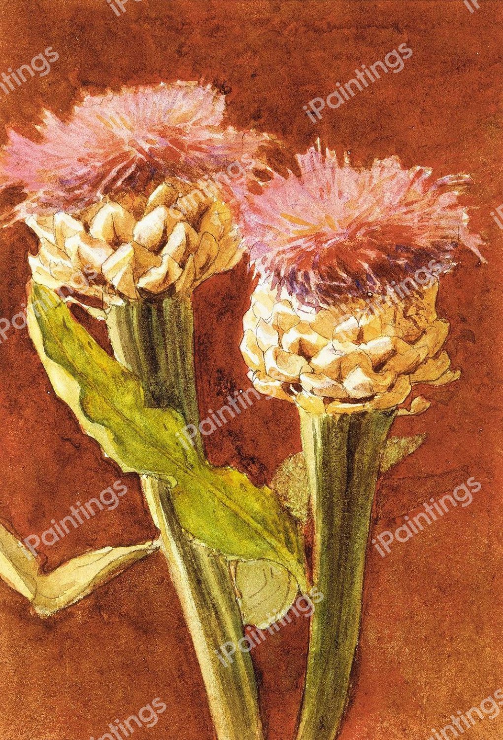 Thistle. The painting by John Singer Sargent