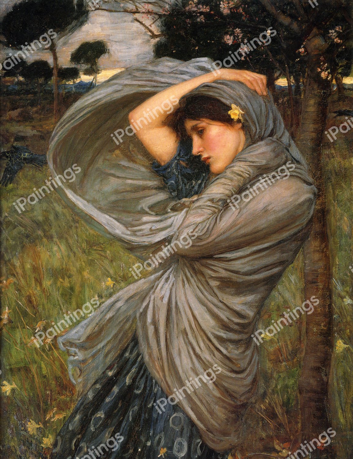 Portrait of Boreas. The painting by John William Waterhouse