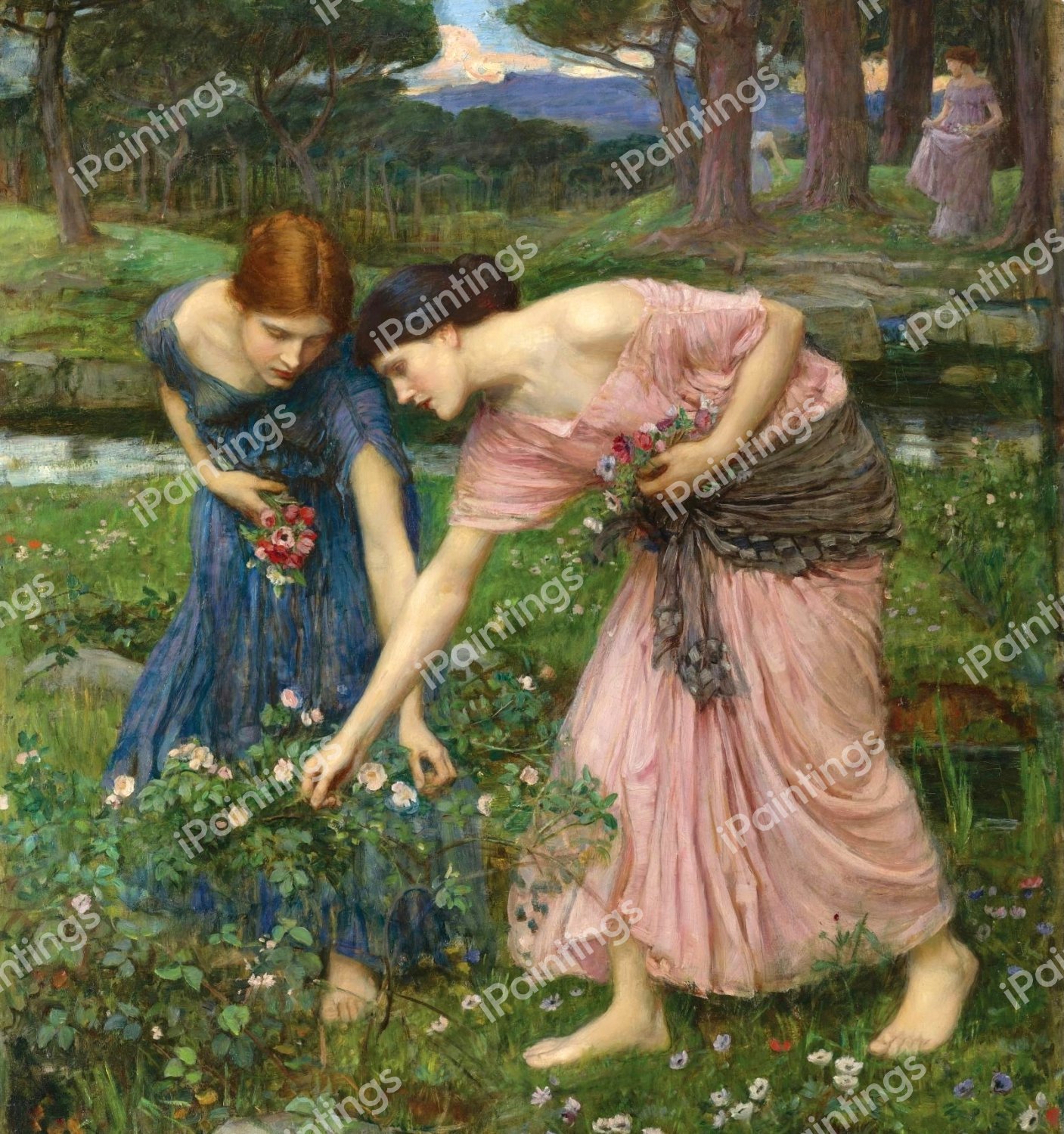 Rosebuds Being Gathered. The painting by John William Waterhouse