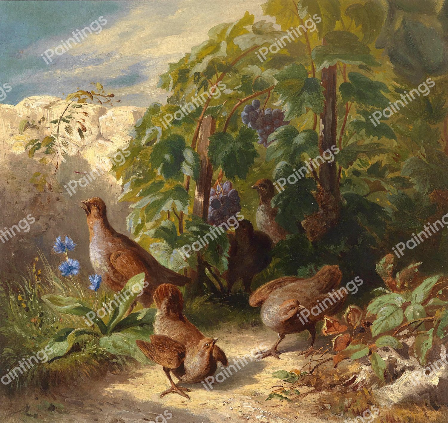 Partridges. The painting by Josef Schuster