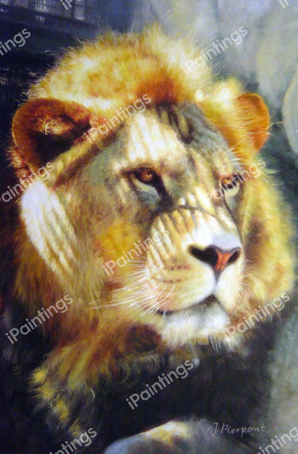King Of The Jungle. The painting by Our Originals