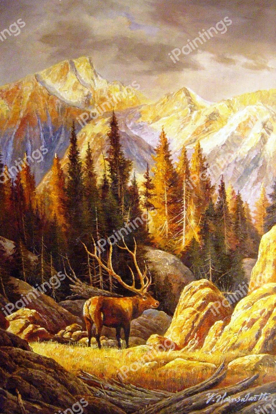 Elk Bull. The painting by L. Jacobsen