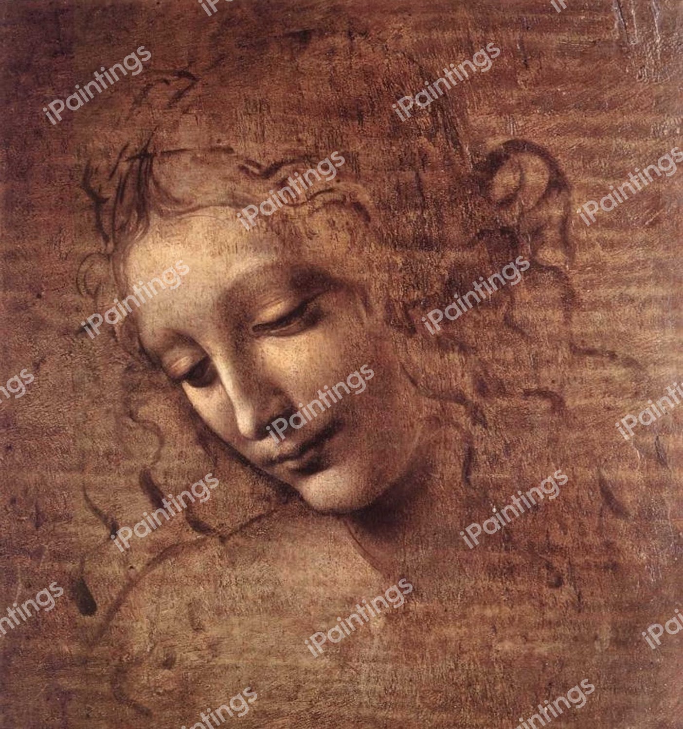 The Female Head. The painting by Leonardo Da Vinci