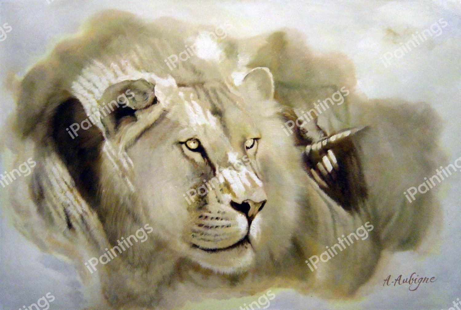Lion At Rest. The painting by Our Originals