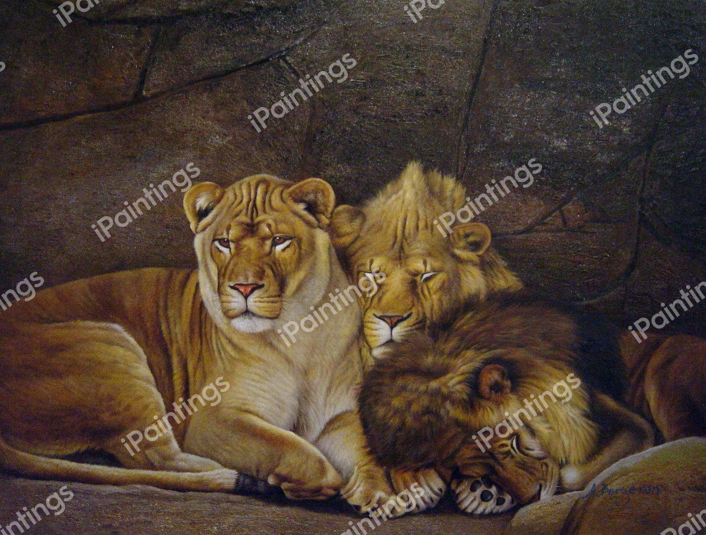Lion Family Resting. The painting by Our Originals