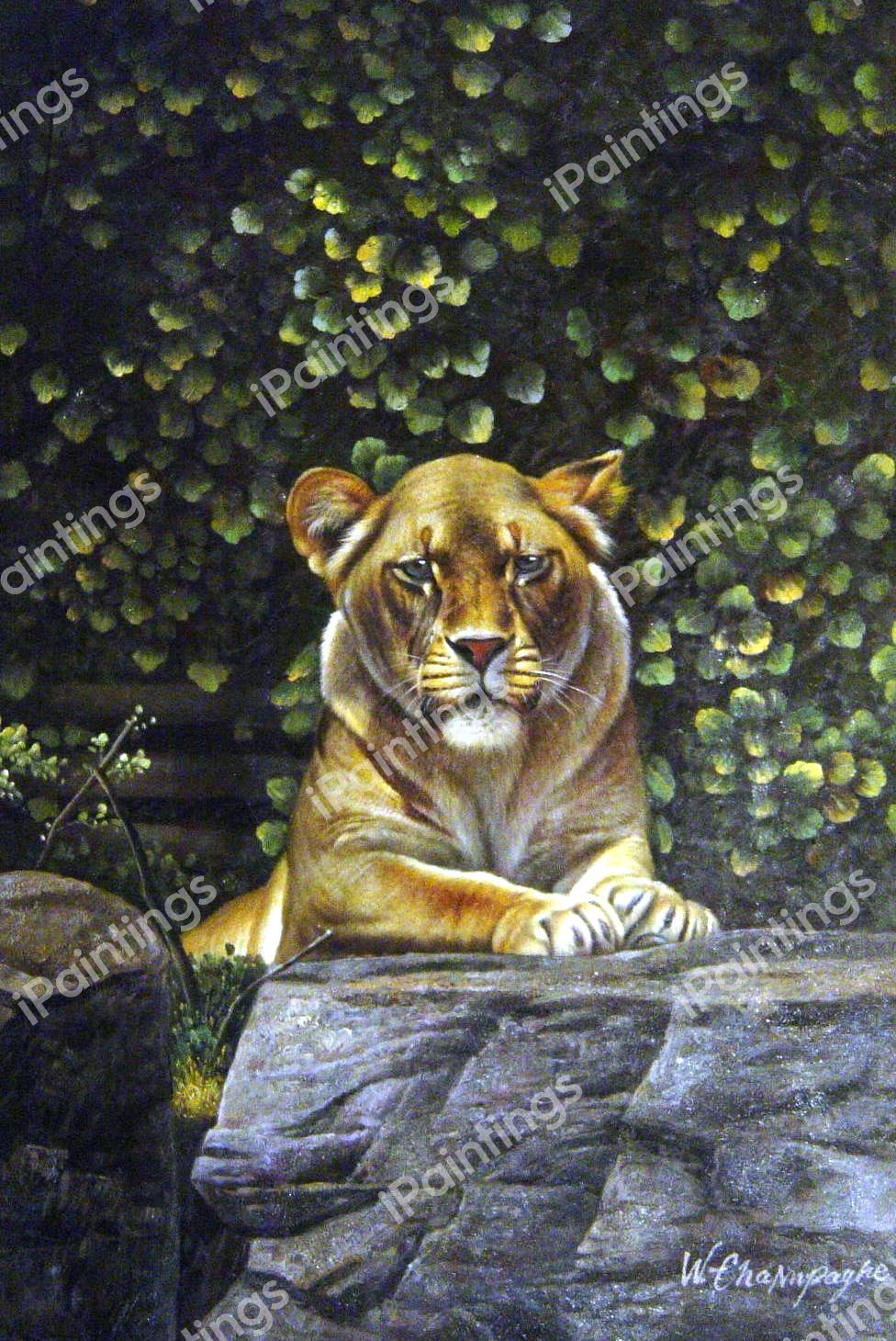 Lioness. The painting by Our Originals
