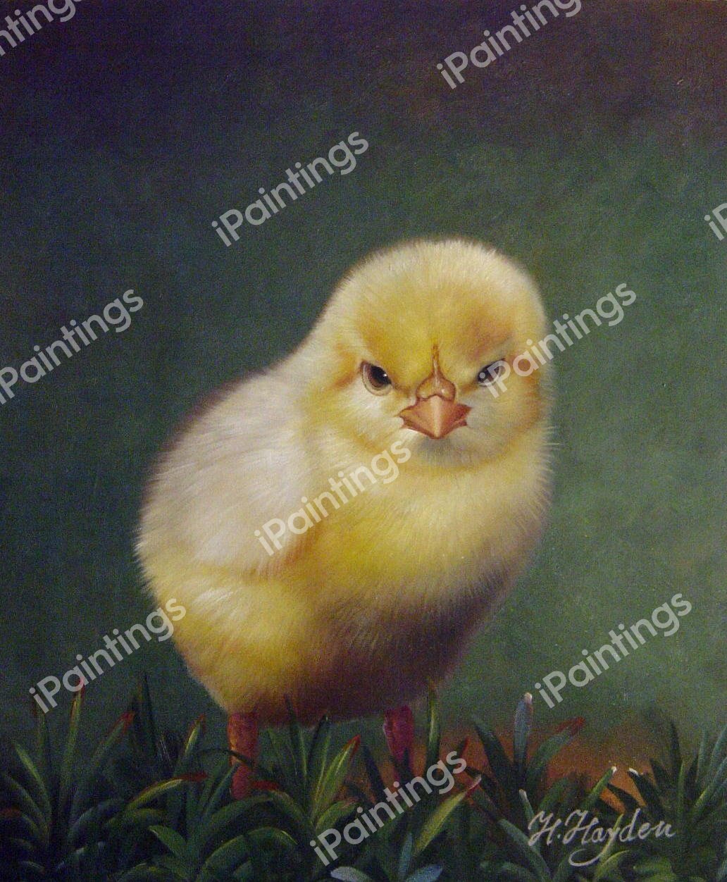 Little Chick. The painting by Our Originals