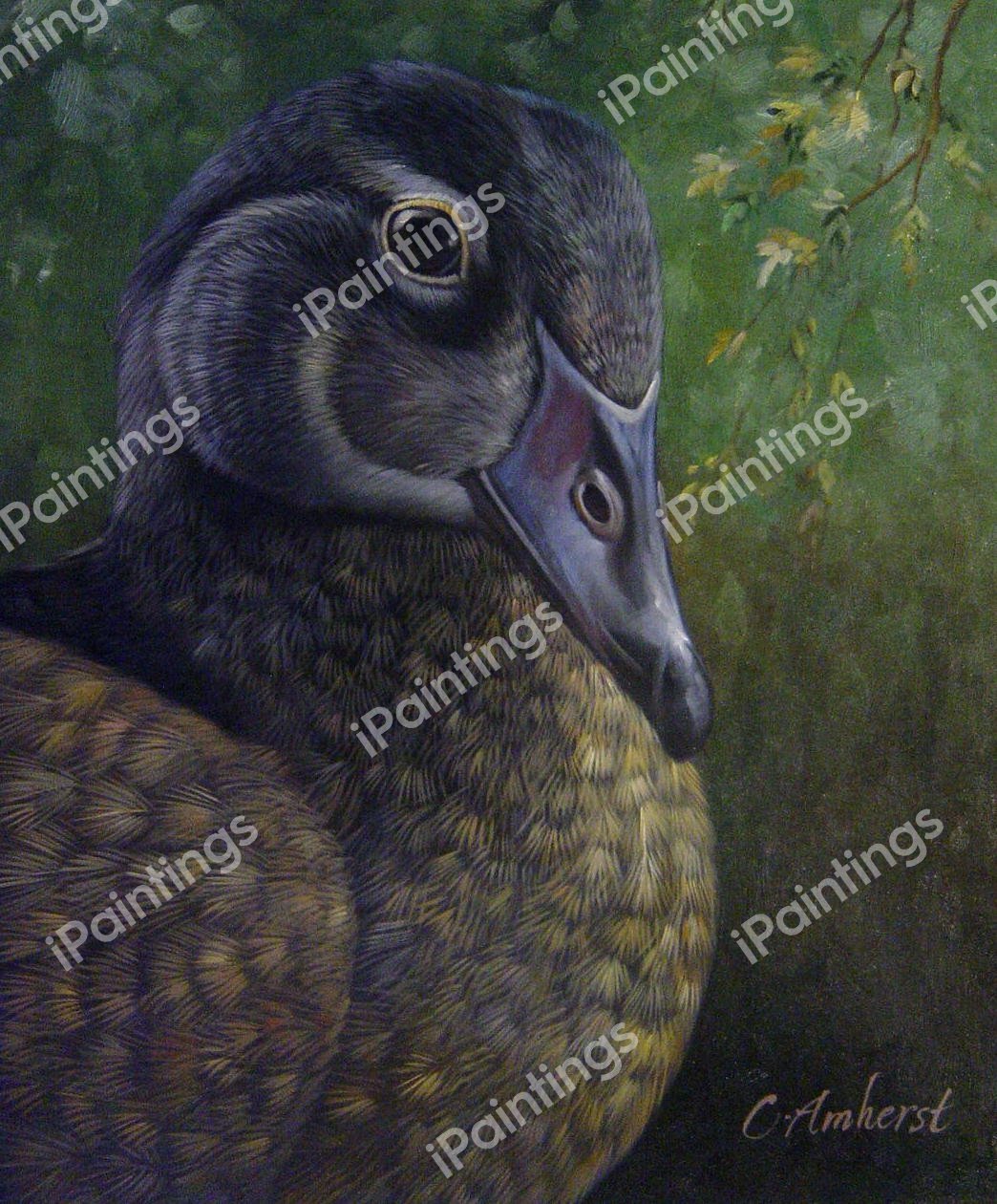 Little Duck. The painting by Our Originals