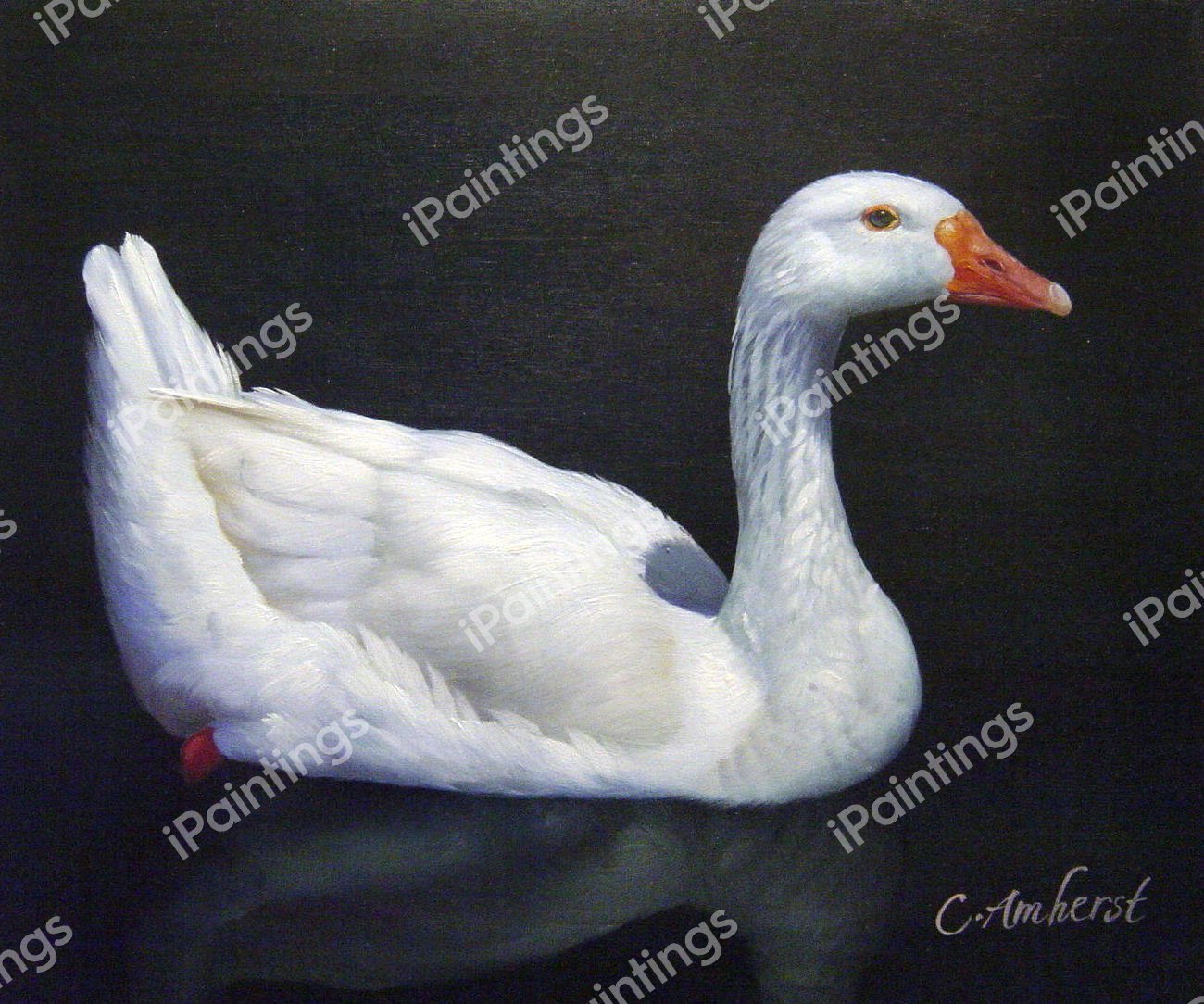 Lone Goose. The painting by Our Originals