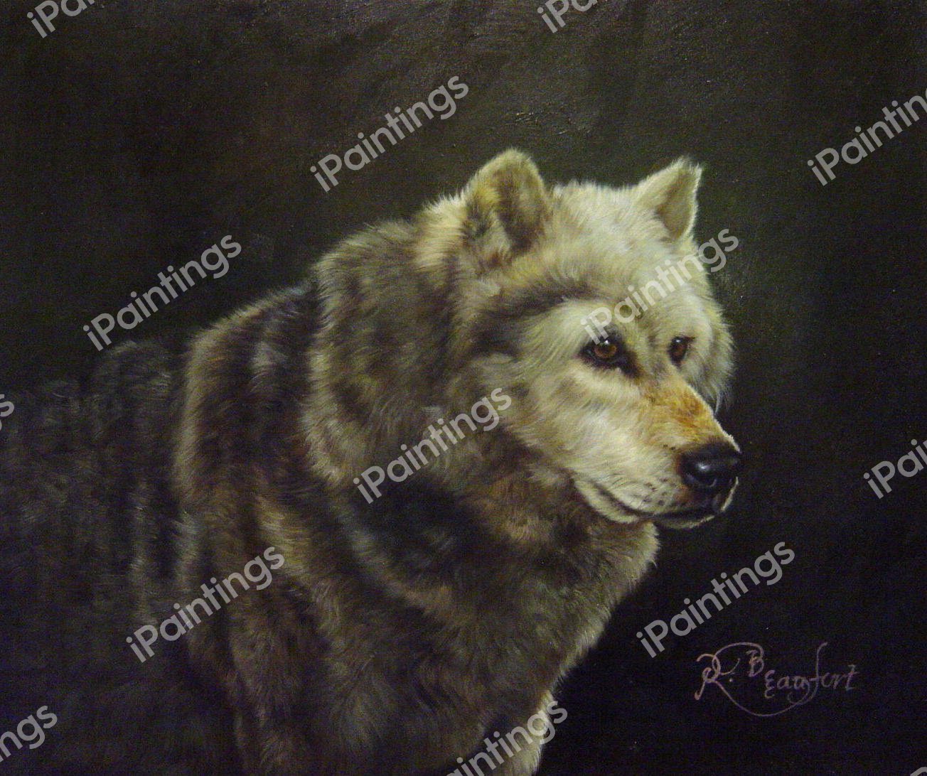 Lone Wolf. The painting by Our Originals