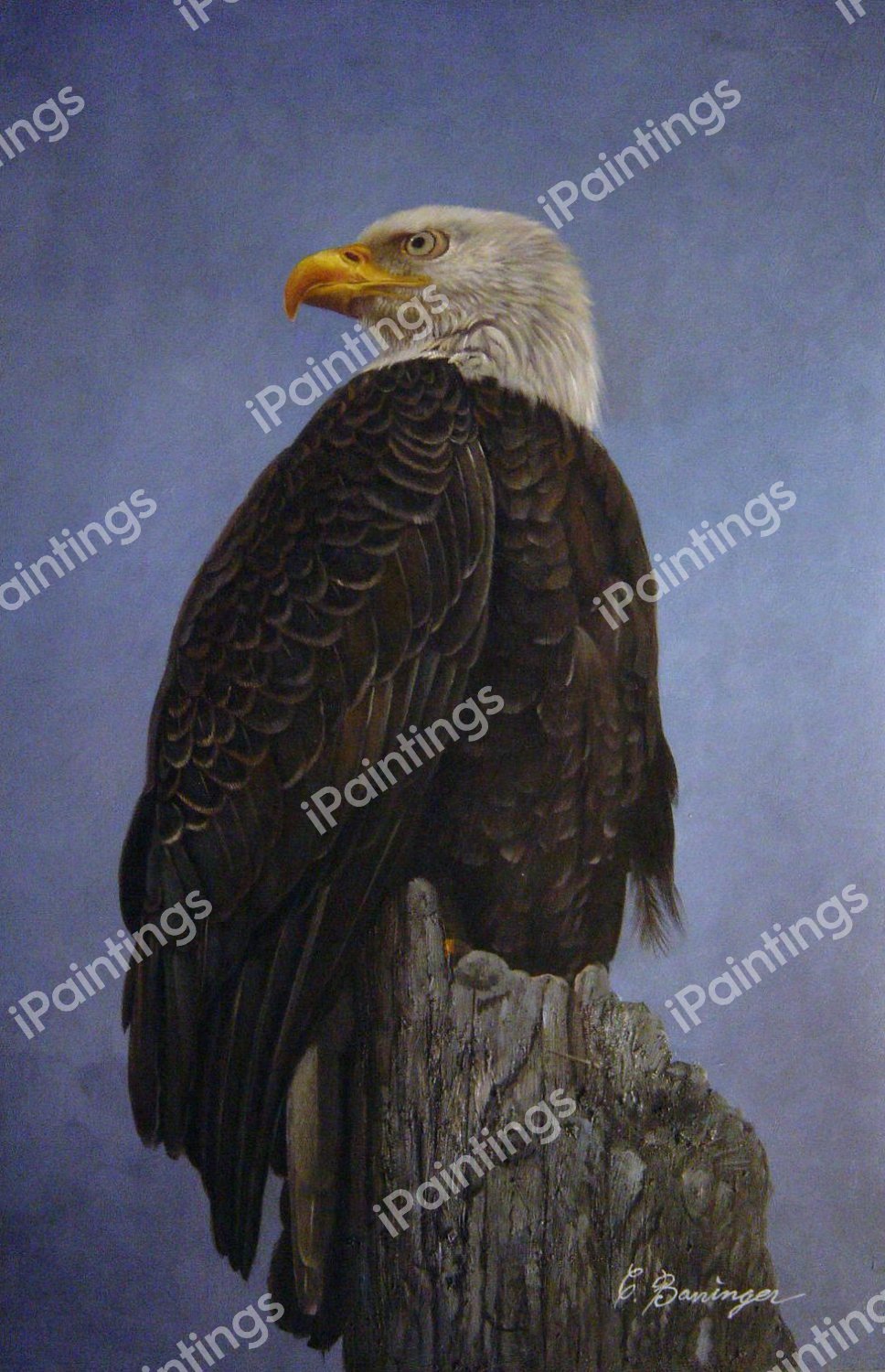 Looking Back. The painting by Our Originals