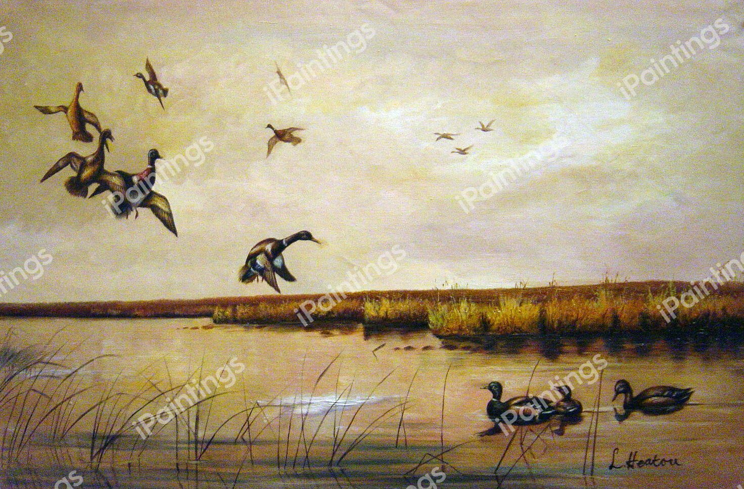 Coming In. The painting by Louis Agassiz Fuertes