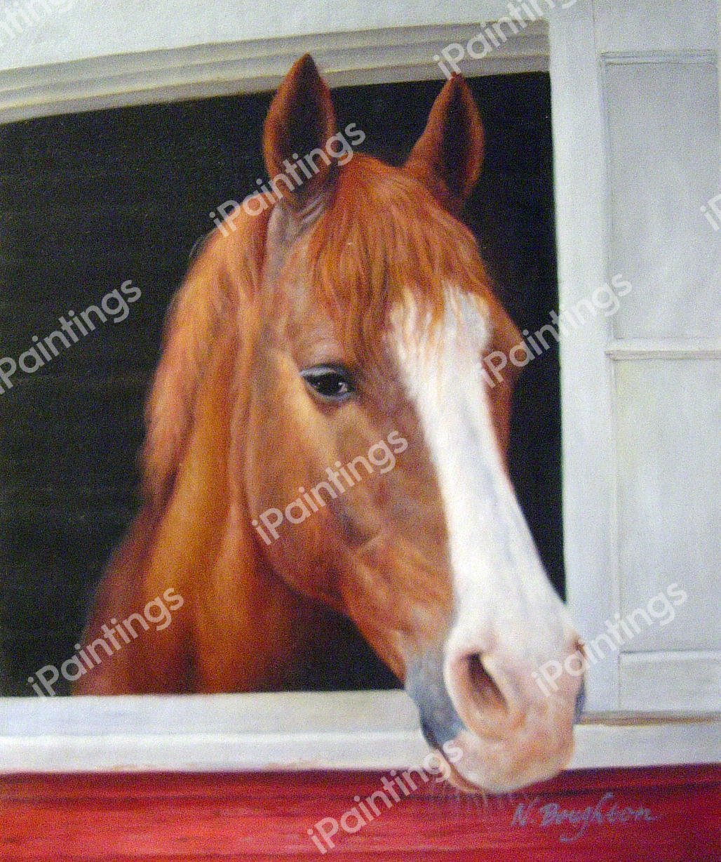 Lovable Horse Peeking Out Barn Window. The painting by Our Originals