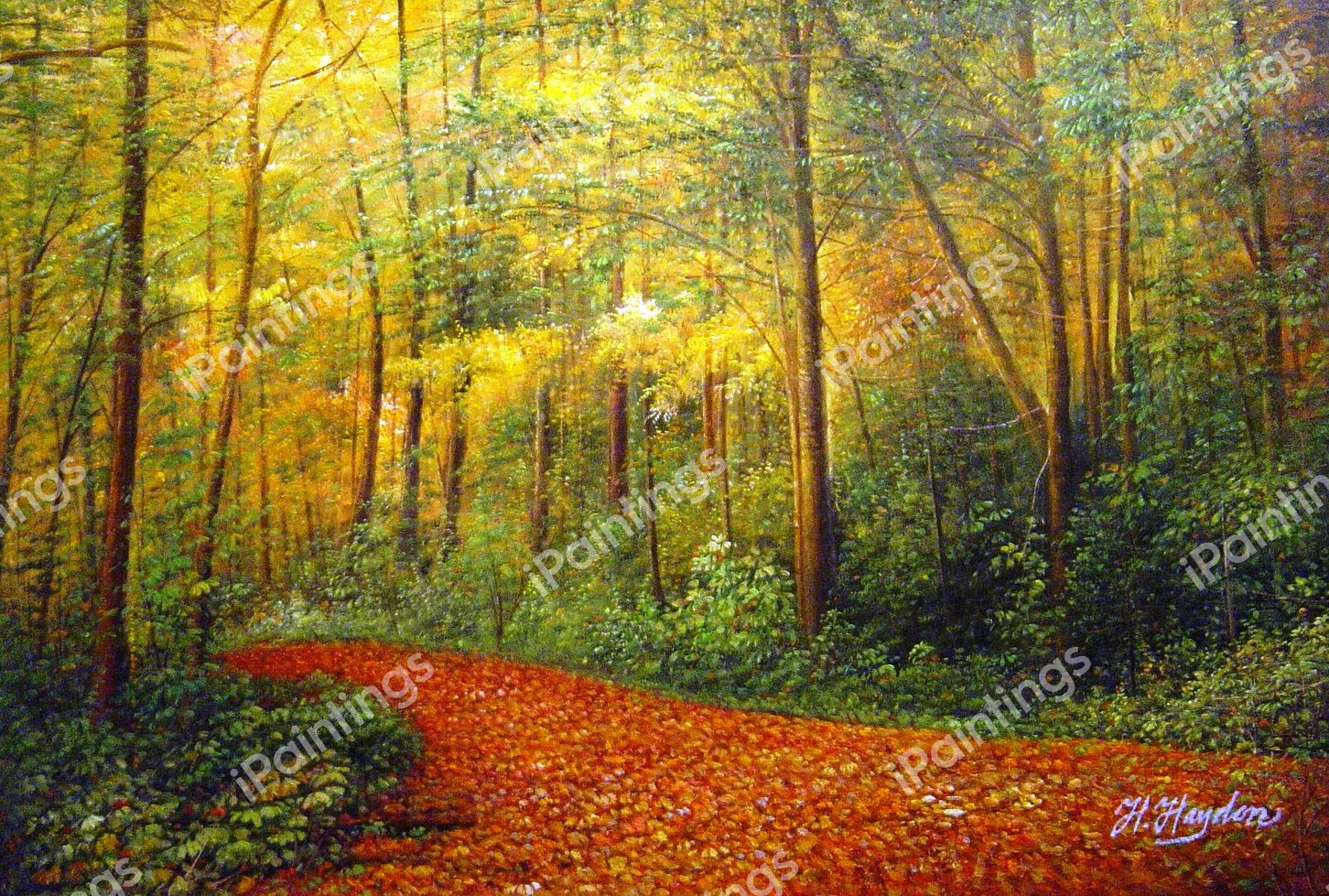 Lovely Path In The Forest. The painting by Our Originals