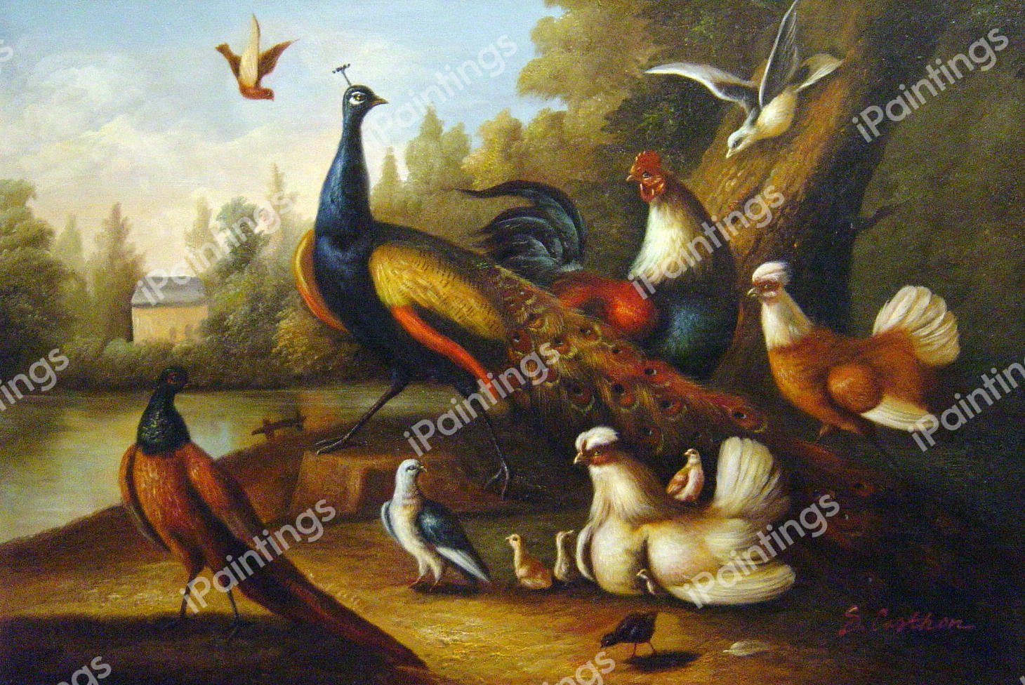 Exotic Birds In A Landscape. The painting by Marmaduke Cradock