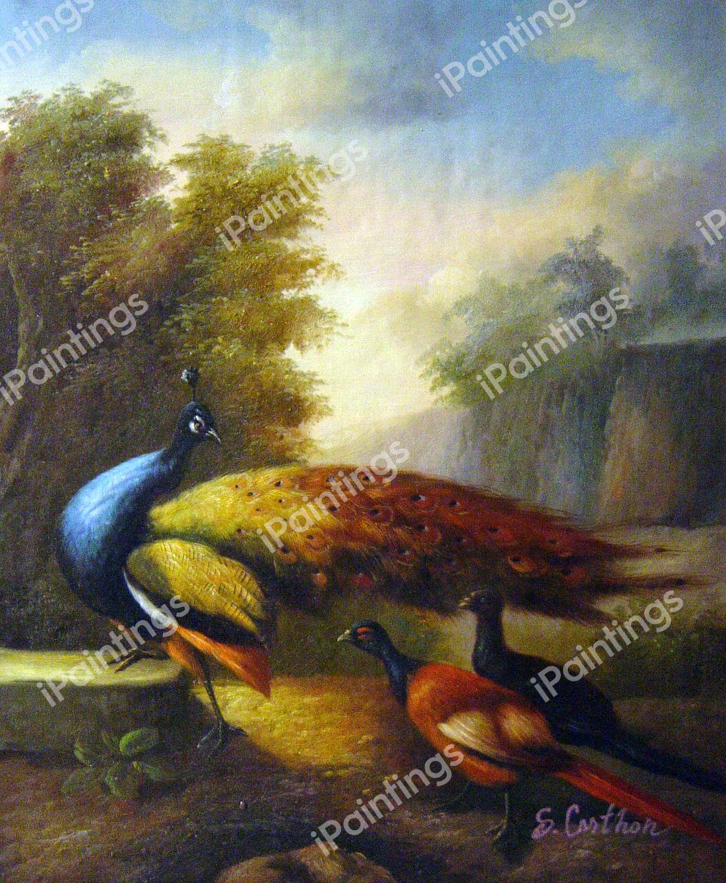 Peacock And Pheasants In A Rocky Wooded Landscape. The painting by Marmaduke Cradock