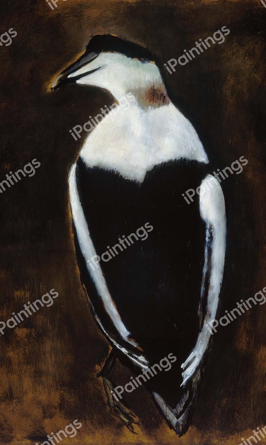 Black Duck. The painting by Marsden Hartley