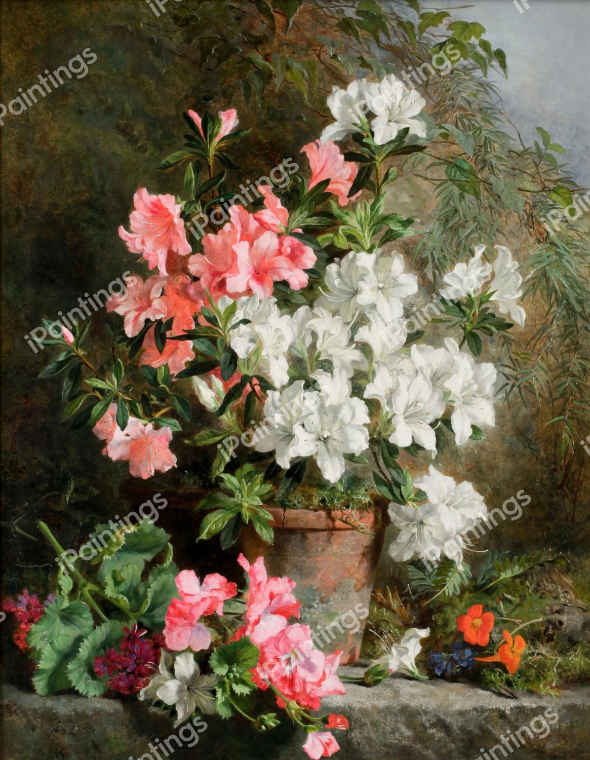 A Beautiful Flower Still Life. The painting by Martha Darley Mutrie