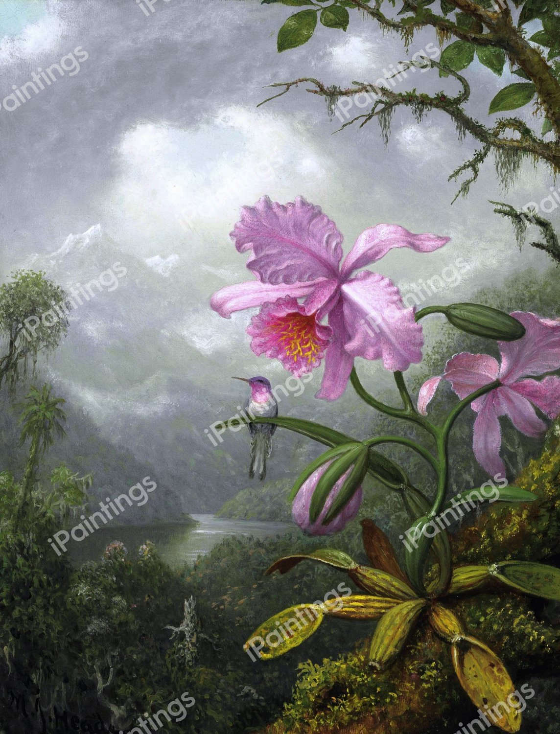 A Hummingbird Perched on the Orchid Plant. The painting by Martin Johnson Heade